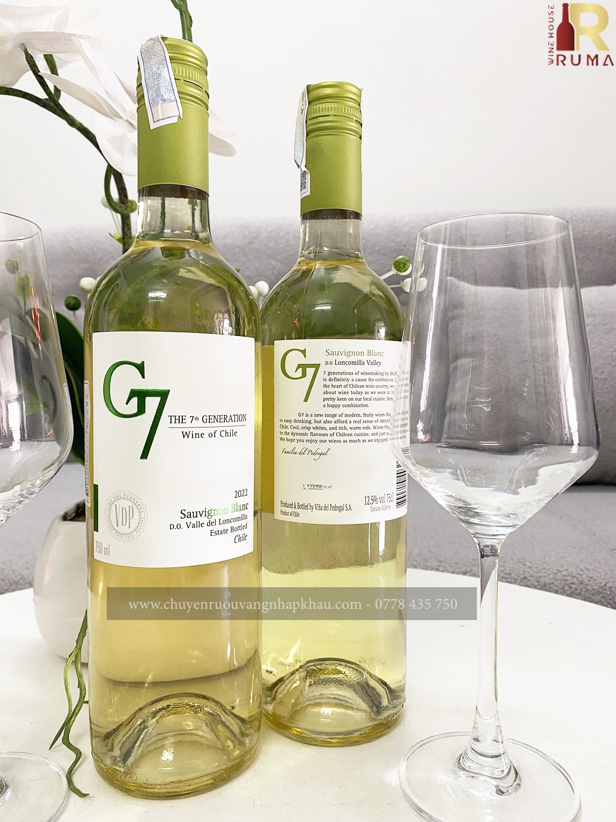 Vang Chile G7 Sauvignon Blanc (vang trắng)