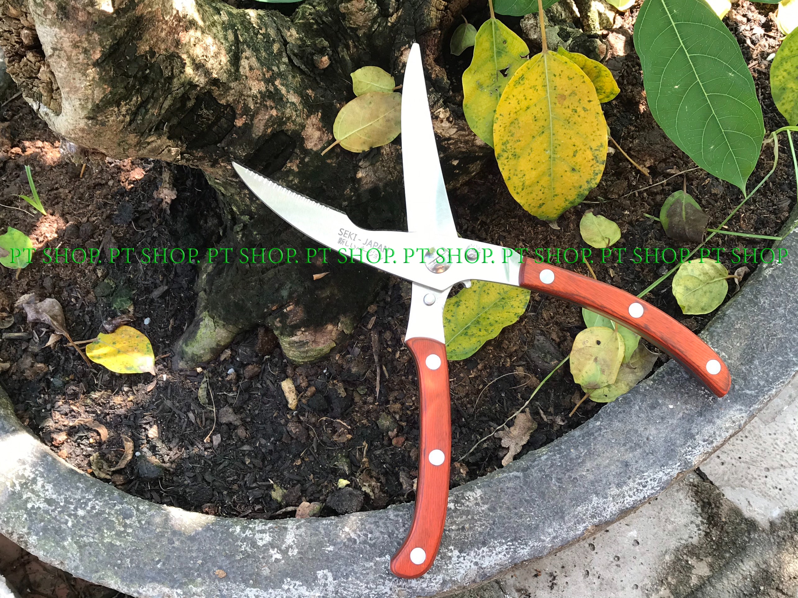 kéo cắt gà seki - cắt cả thế giới