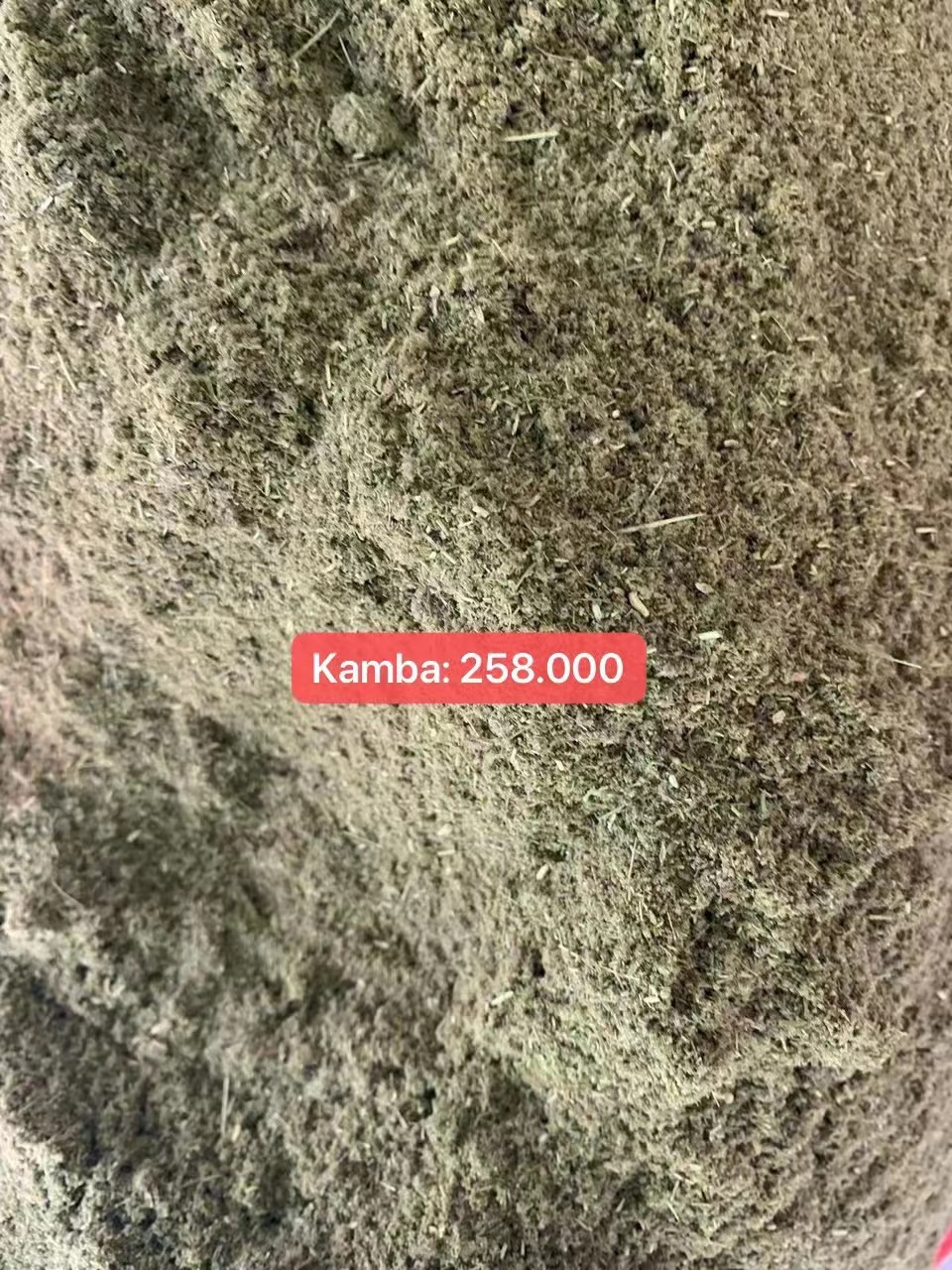Bột cỏ tây tạng - kamba cúng khói