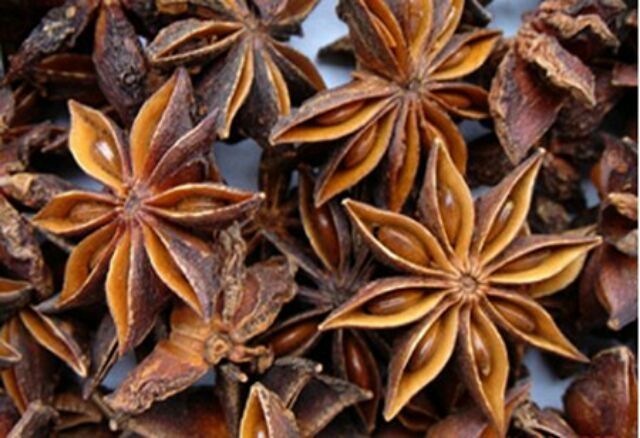 100G HOA HỒI TÂY BẮC
