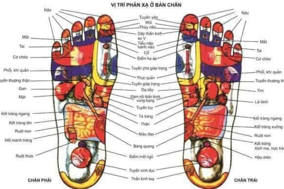 Hộp Đá Muối Massage Chân Himalaya mặt phẳng