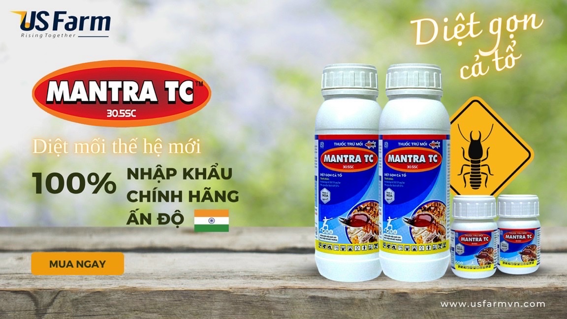 Thuốc diệt Mối MANTRA TC 305 SC - chai 50ml (Nhập Khẩu)