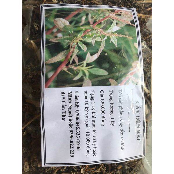 1kg cây dền gai khô thơm sạch HB195