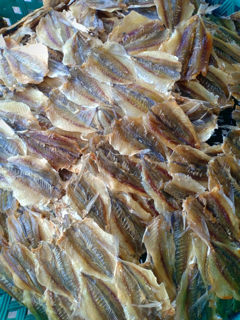 1kg Khô cá chỉ vàng, hàng mới