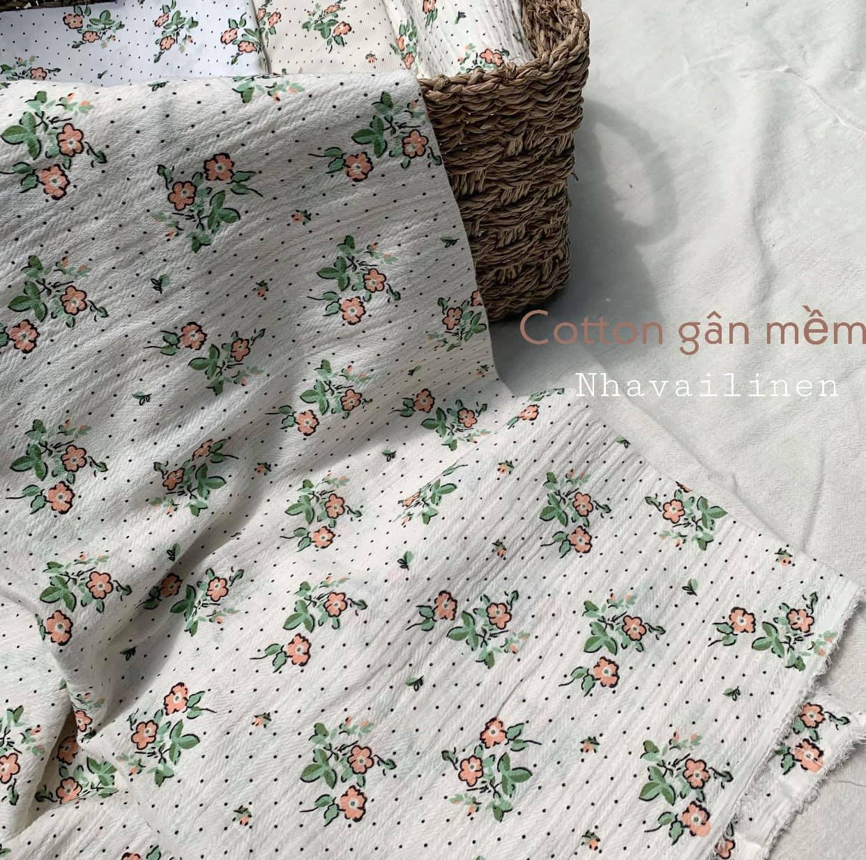 HOA HỒNG CAM CHẤM BI
