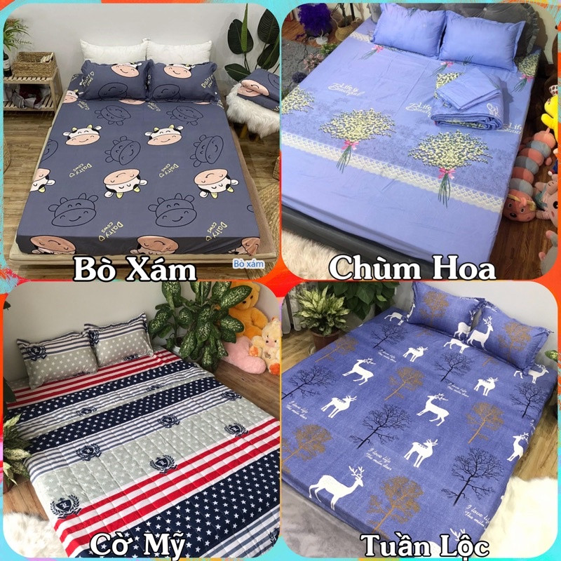 Bộ ga gối cotton poly 1m6 x 2m drap giường poly ga trải giường kèm 2 vỏ gối nằm và 1 vỏ gối ôm đơn giản Bộ 4 món chăn ga gối dày dặn bộ ga vỏ gối