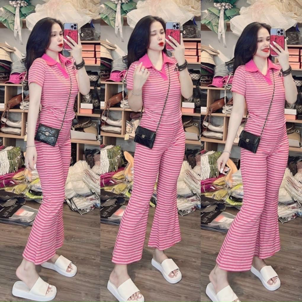 Đồ bộ nữ, Set đồ bộ quần ống loe đai cao có túi và áo ôm ngắn tay cổ sơ mi lai, Set bộ sọc áo tay ngắn có cổ phối quần đai cao ống loe chất thun gân