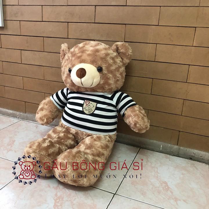 [HCM]Gấu bông Teddy khổ vải 80cm màu Sữa