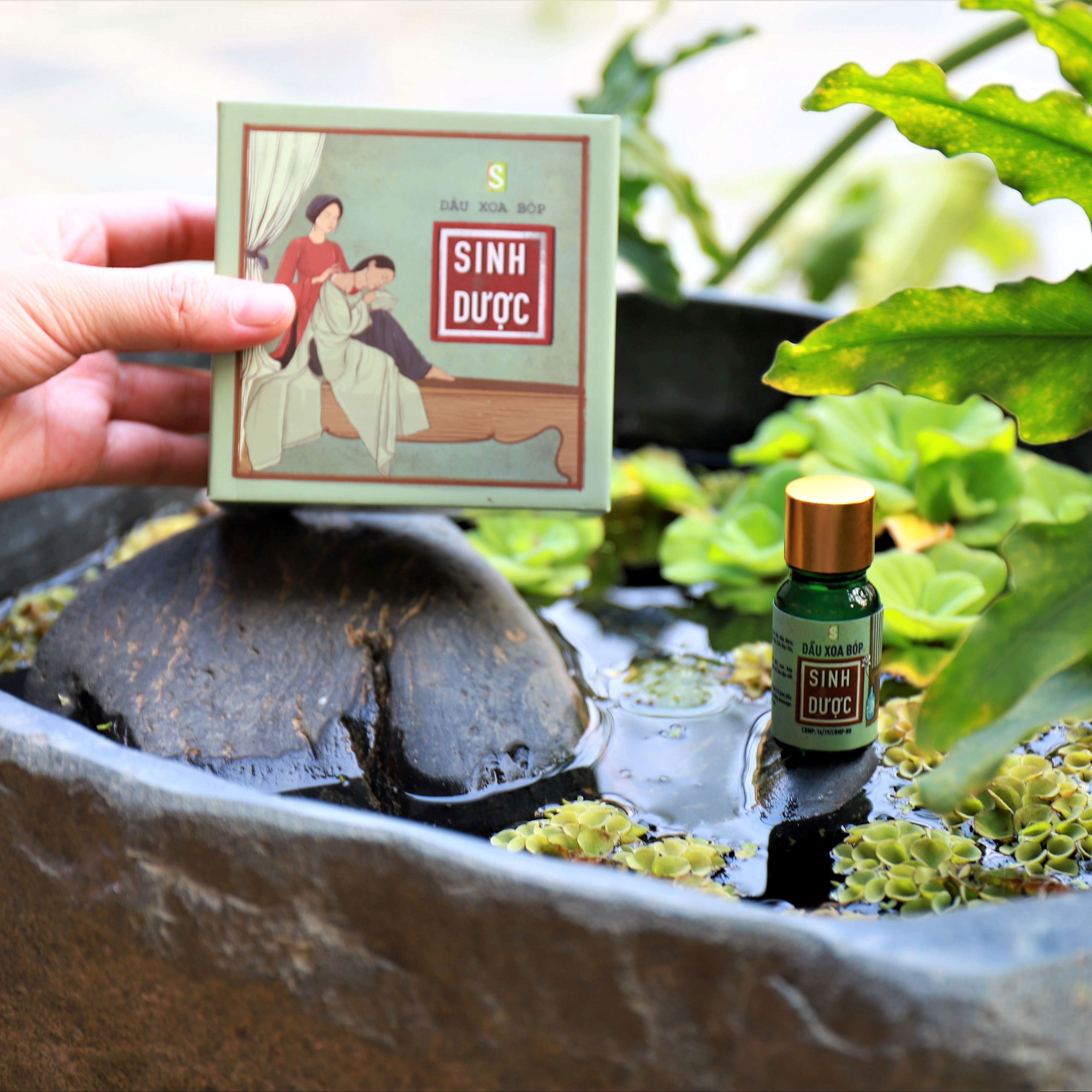 Dầu xoa bóp 10ml Sinh Dược