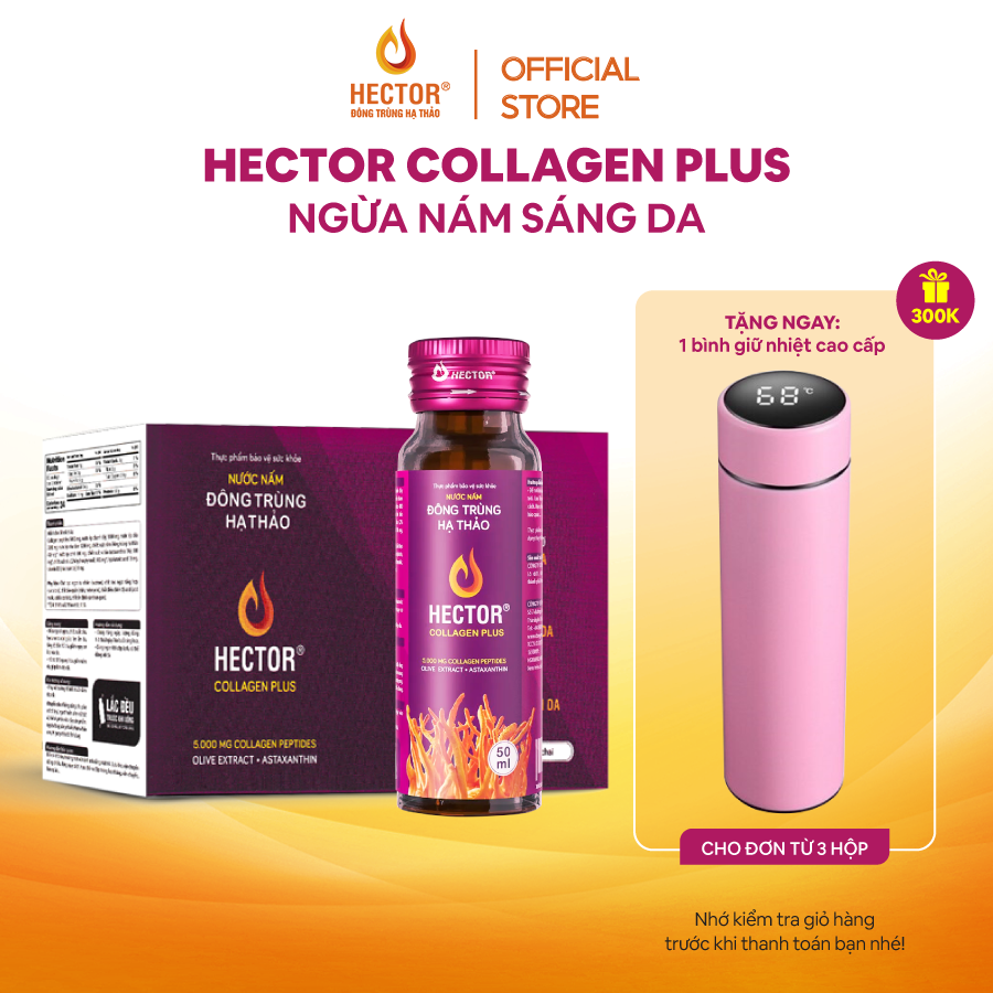 NƯỚC NẤM ĐÔNG TRÙNG HẠ THẢO HECTOR COLLAGEN PLUS (hộp 10 chai)