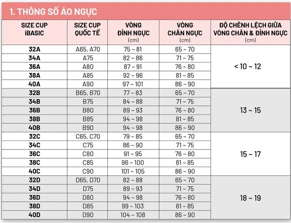 Áo ngực nữ mút mỏng trơn IBASIC-VA080