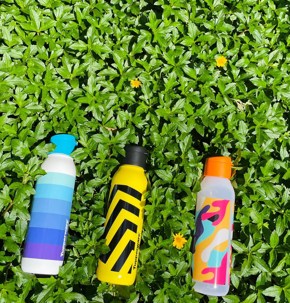 Bình nước Tupperware Eco Fancy 750ml