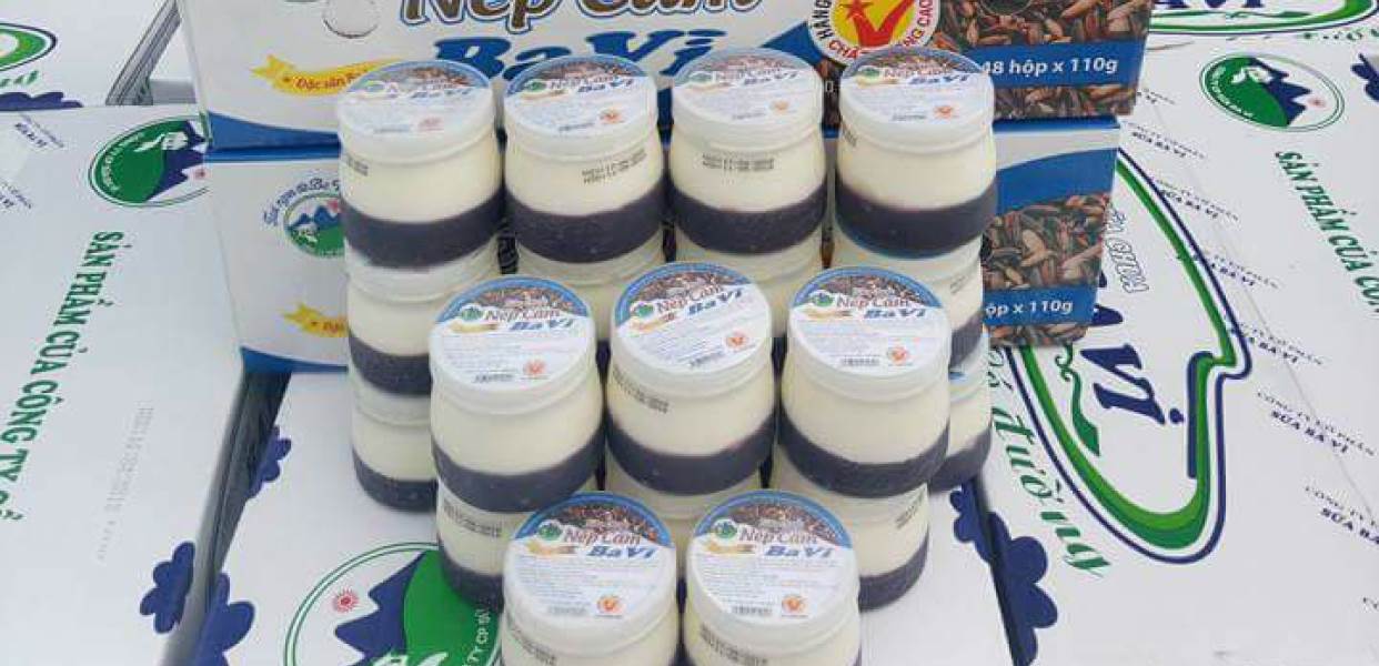 Sữa chua nếp cẩm Đặc sản Ba Vì