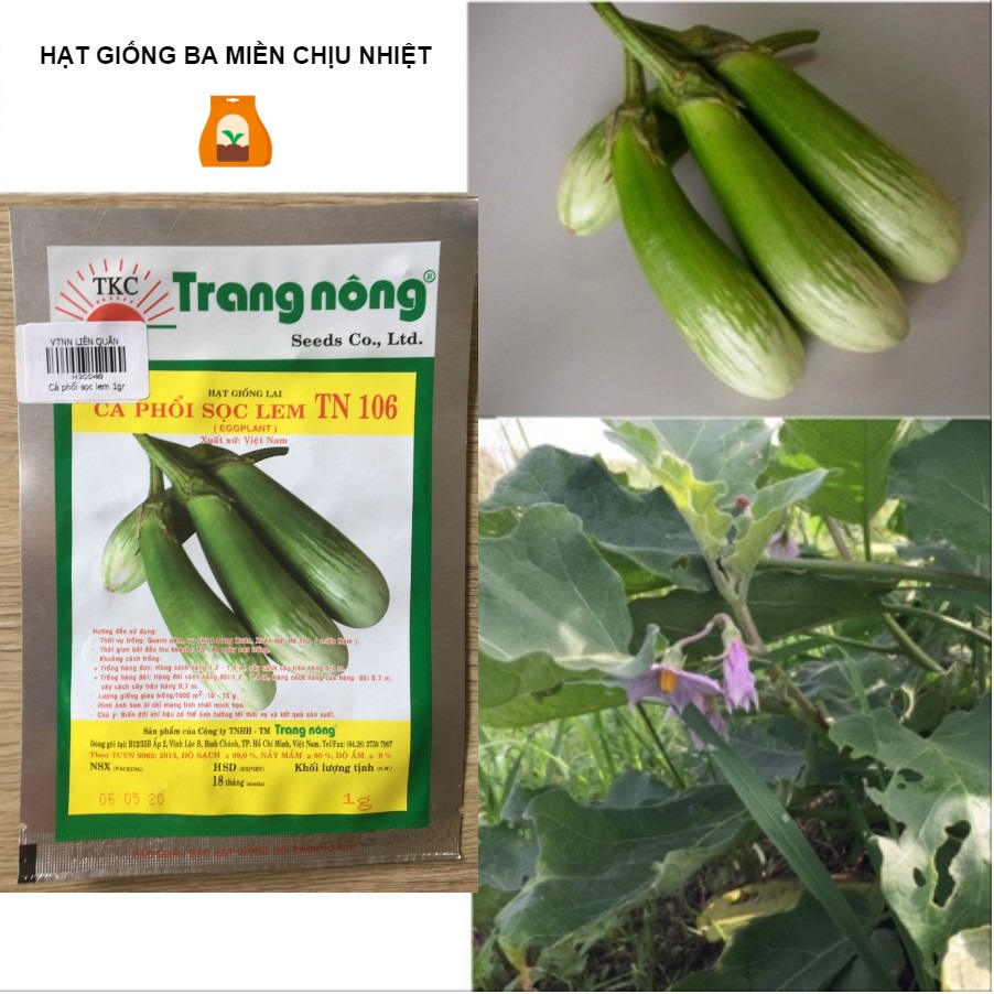 [Trang Nông] Gói 1gram Hạt Giống Cà phổi Sọc Lem Lai Trang Nông