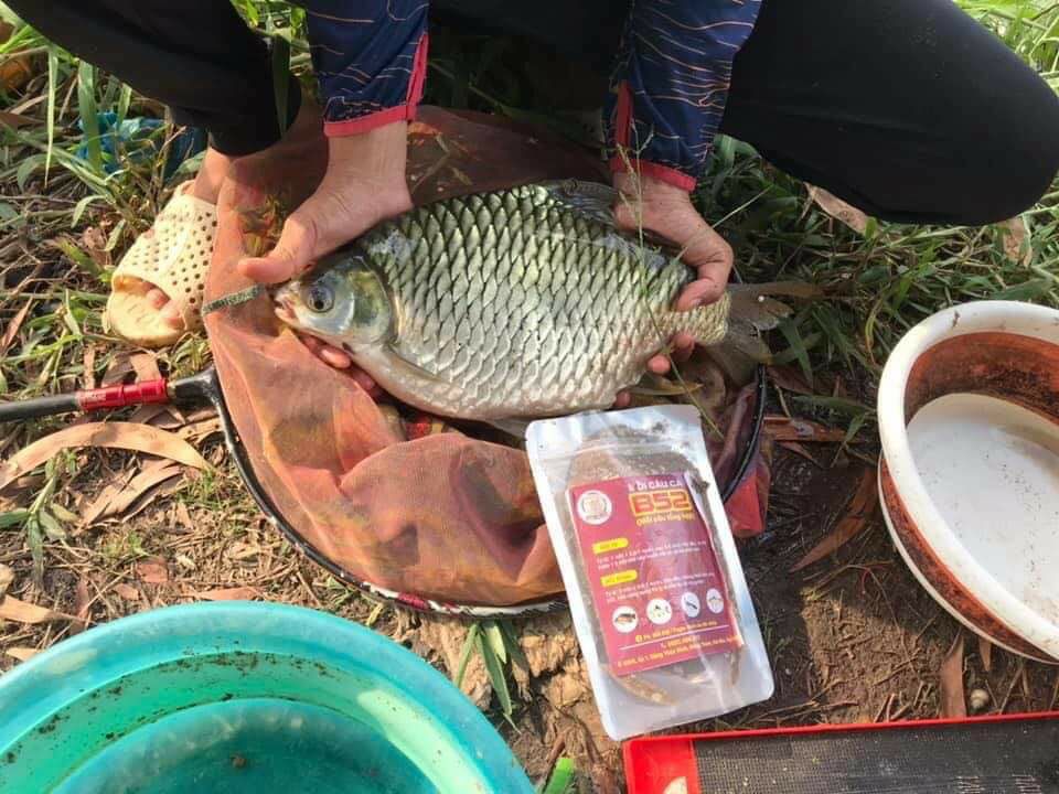 Mồi câu cá tổng hợp B52