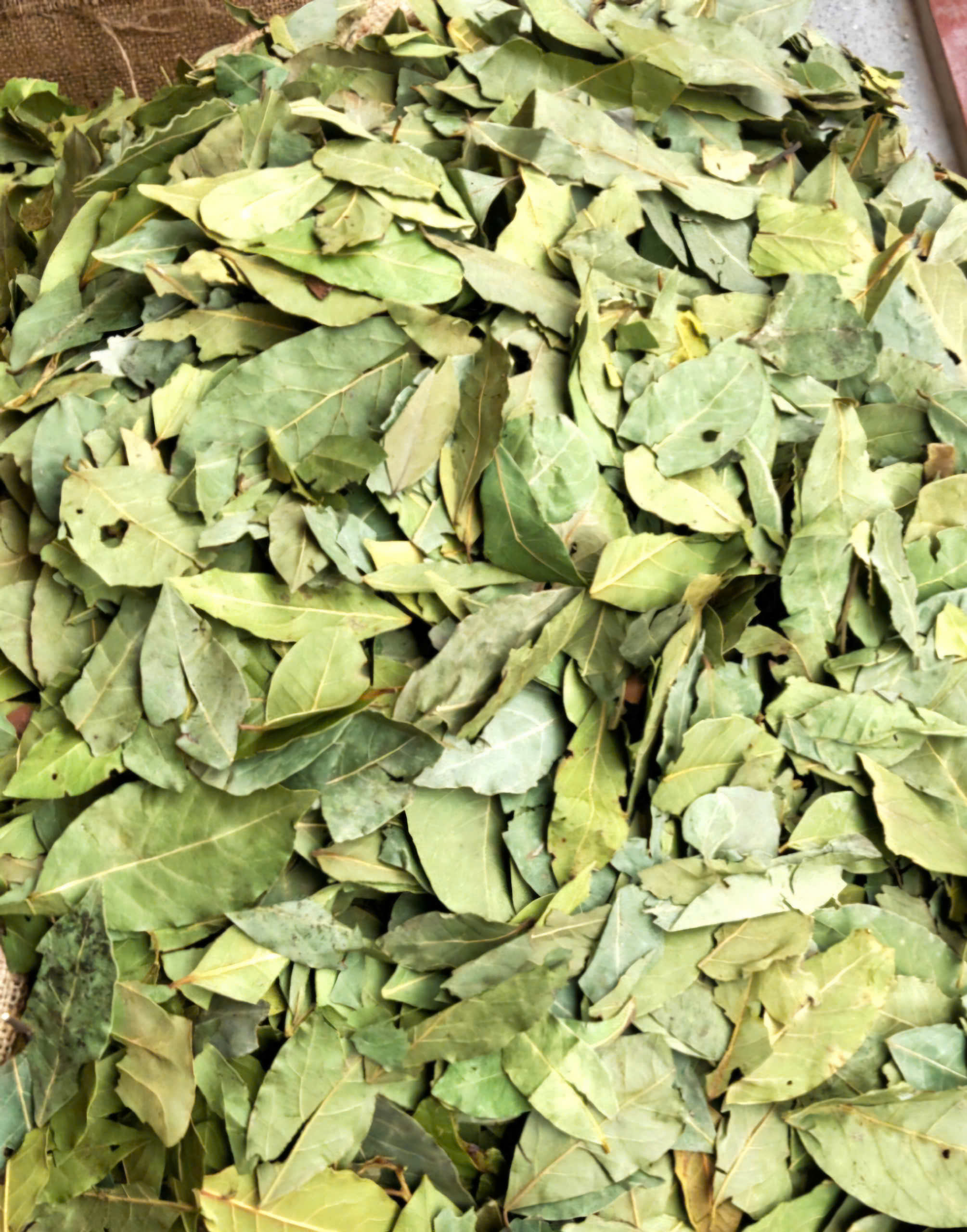 Lá nguyệt quế Khô (Lá Bay leaves) 20g_Monhi_Food
