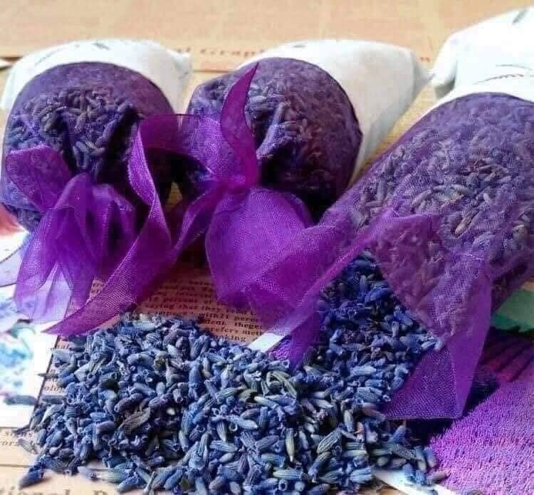 Túi Thơm Nụ Hoa Lavender Khô