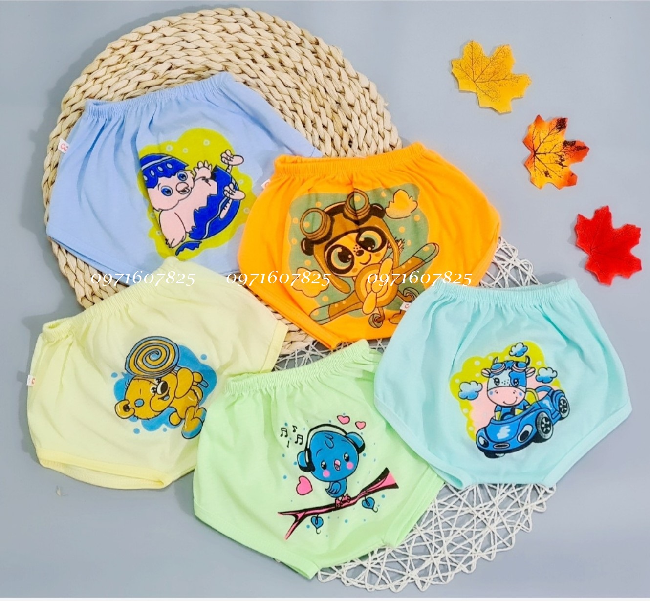 Combo 10 quần chip cho bé gái