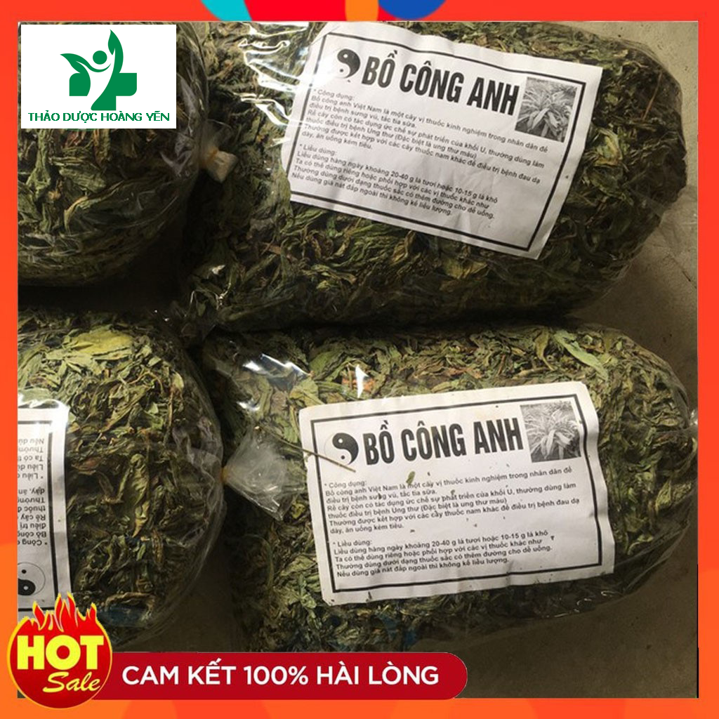 bồ công anh khô