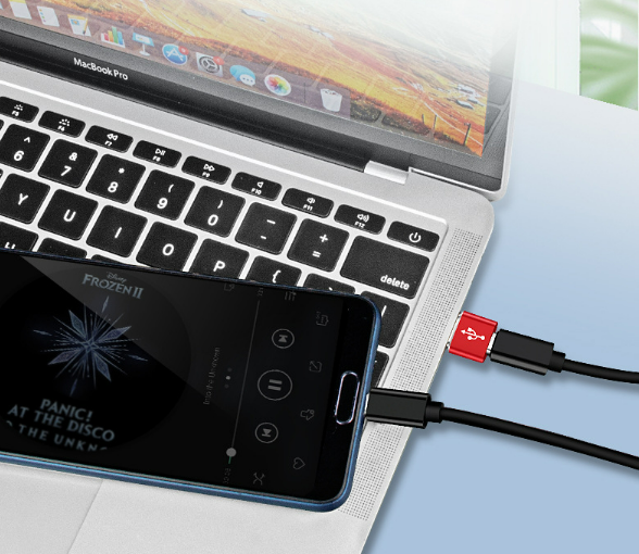 Đầu Chuyển Đổi OTG Cổng Usb 3.0 Type A Sang USB 3.1 Type C