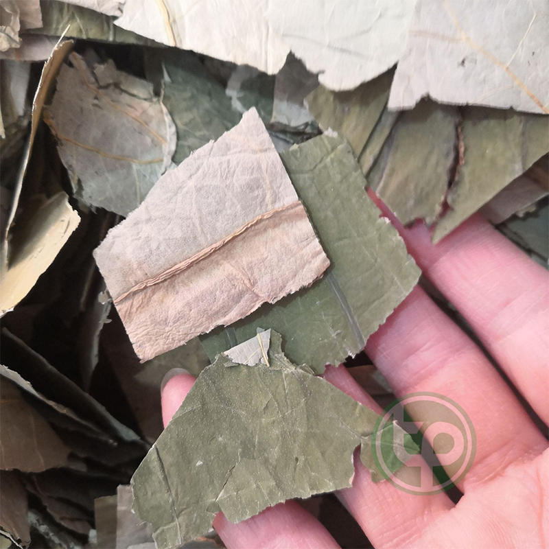 Lá sen sấy khô 500g - tấn phát