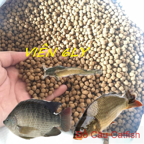 1kg thức ăn cá lái thiêu dt06 18% đạm cho cá ăn hoặc dùng câu cá-cám cá lái thiêu