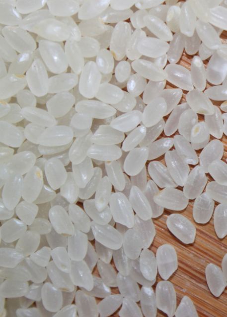 5kg gạo( séng cù hạt tròn)