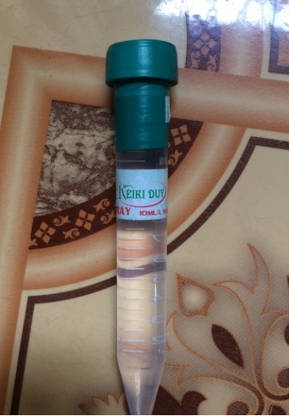 Keiki duy spray, duy xanh ( kích mầm, kích kie hoa lan)