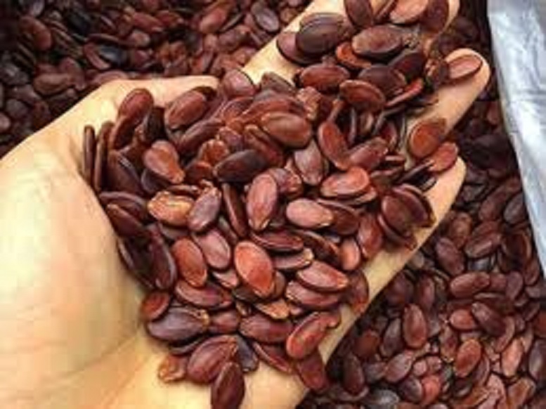 500g Phuoc Thanh Melon Seeds
