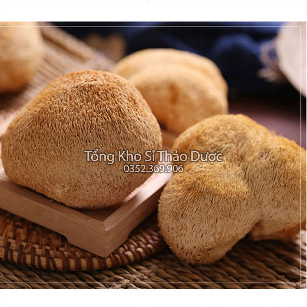 Nấm hầu thủ 500g ( Nấm đầu khỉ hữu cơ, tốt cho tiêu hóa)