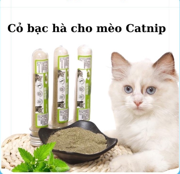 Cỏ bạc hà , cỏ mèo khô cho mèo 20g