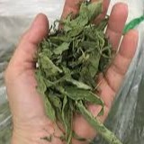 Cỏ Ngọt sấy khô nguyên chất 100 gram.