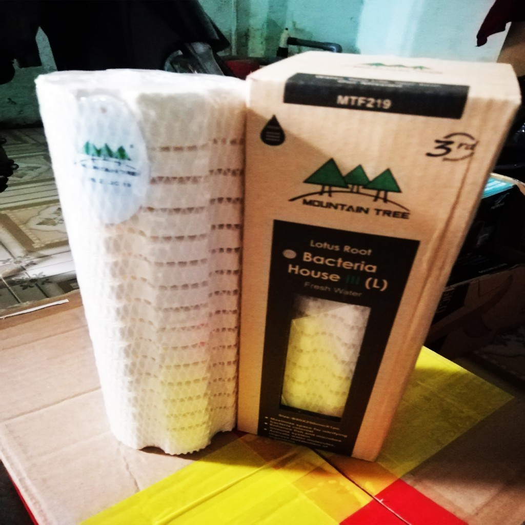 1 THÙNG 12 THANH SỨ CỦ SEN MOUNTAIN TREE THẾ HỆ 3XL - ROOT 3