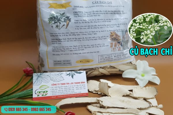 Củ Bạch Chỉ Khô 1KG - Đông Y Thanh Bình
