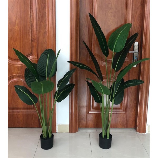Cây Giả 🌺 Cây Chuối Cảnh Lá Mờ