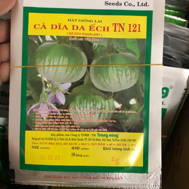 1G - Hạt Giống Cà Dĩa Da Ếch