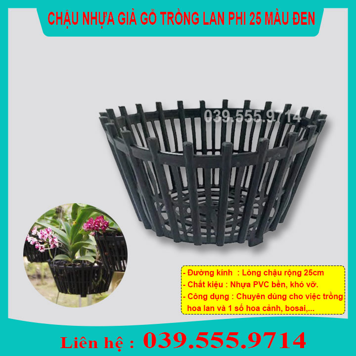 5 CHẬU NHỰA ĐEN TRỒNG LAN GIẢ GỖ PHI 25CM