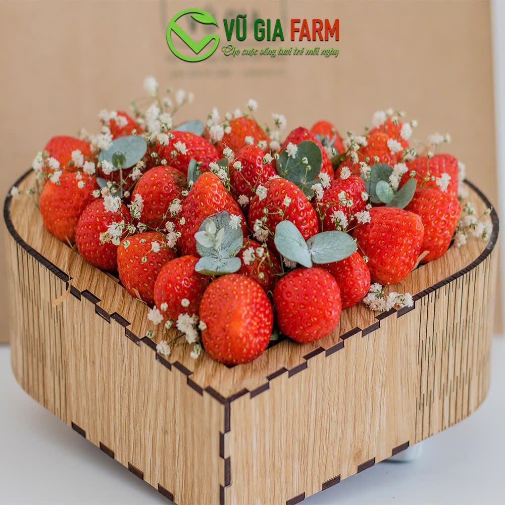 [GIỎ QUÀ] BigLove 01 Dâu Tây Đà Lạt Giống Nhật Sachi