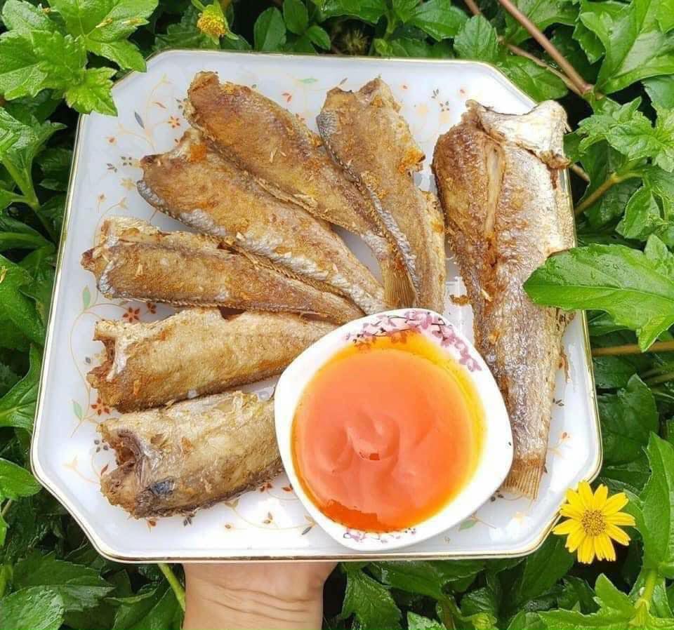 [HCM]CÁ ĐÙ MỘT NẮNG SIZE TRUNG