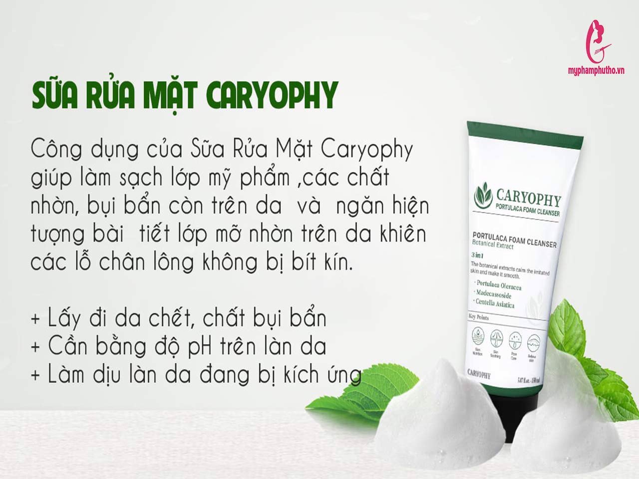 Sữa Rửa Mặt Caryophy Portulaca Cleansing Foam 30ml 150ml