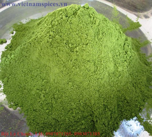 Bột lá chanh cao cấp 100gram