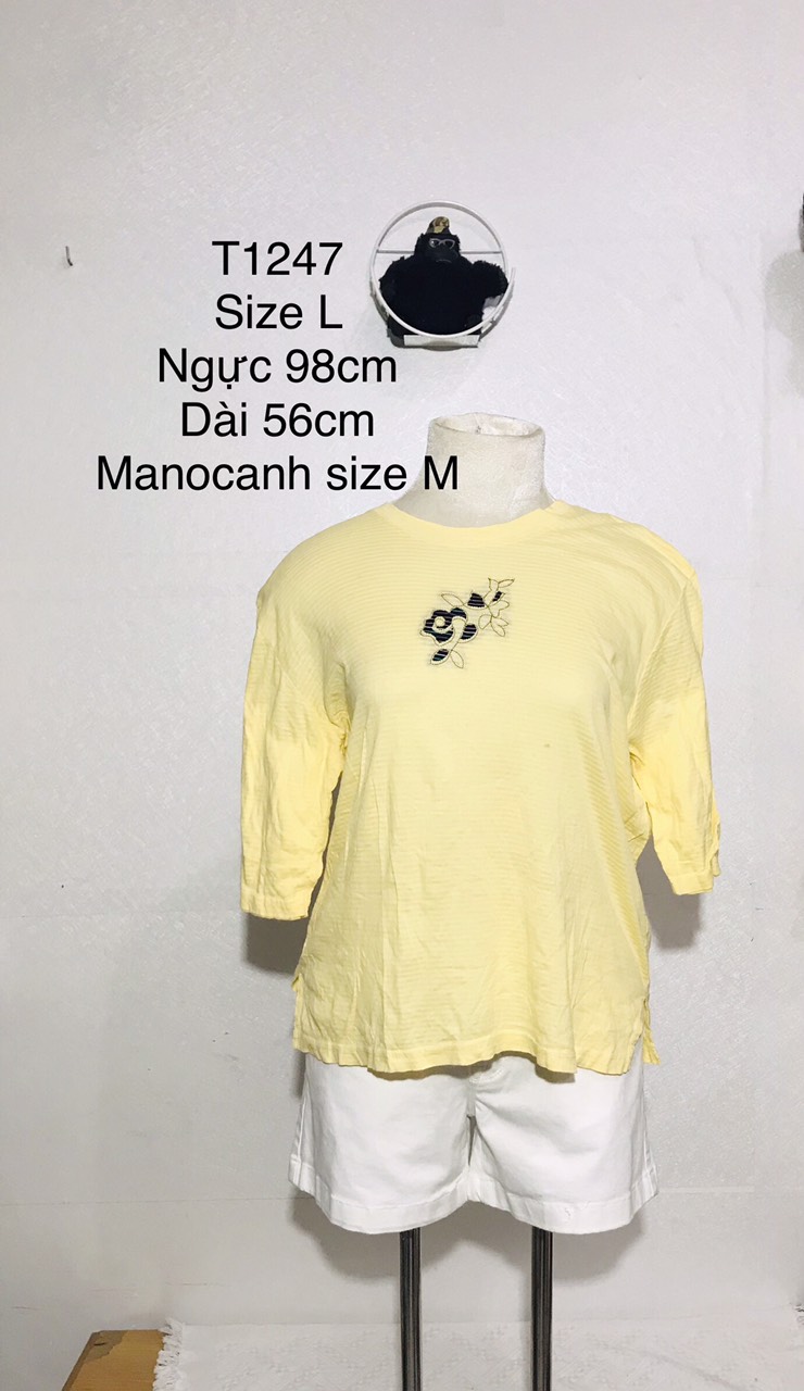 Áo Thun Nữ (Hàng Đuôi Giá Rẻ) Hàng Si Nhật Hàn Chất Cotton Cho Mùa Hè