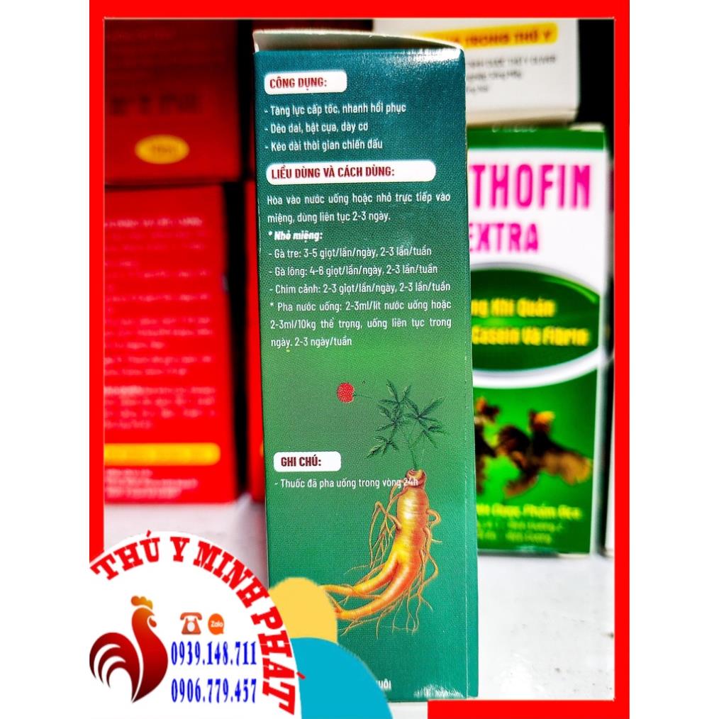 SÂM GÀ ĐÁ TĂNG LỰC CẤP TỐC, TĂNG LỰC THẢO DƯỢC