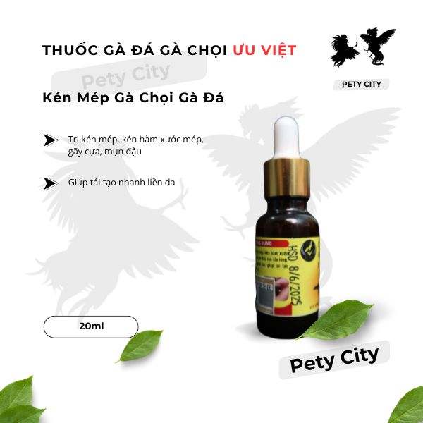 Kén Mép Gà Chọi Gà Đá Ưu Việt