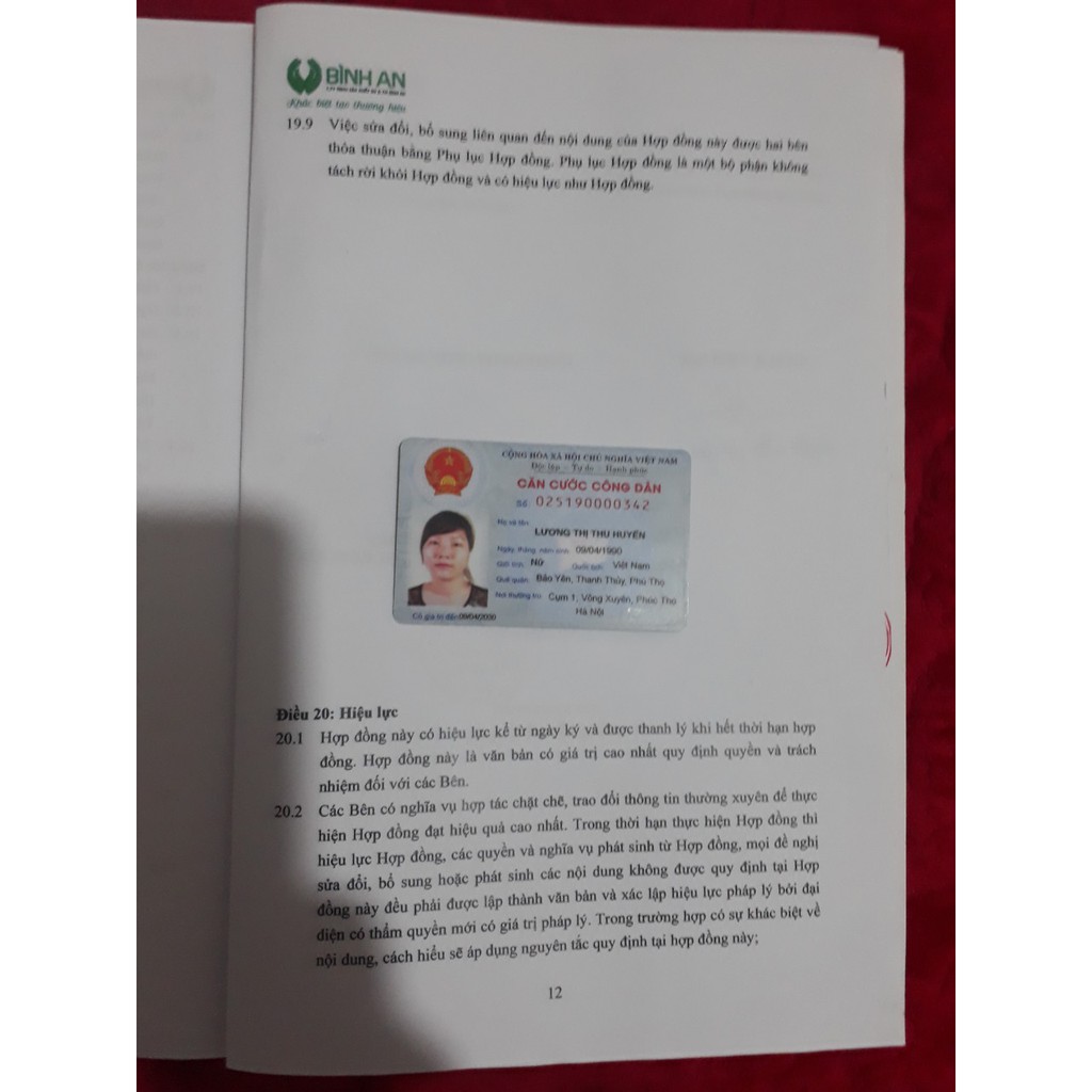 mầm đậu nành organic- tăng vòng 1 siêu tốc
