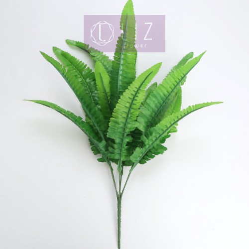 CÂY DƯƠNG XỈ CÂY GIẢ CỠ TRUNG LIZ62