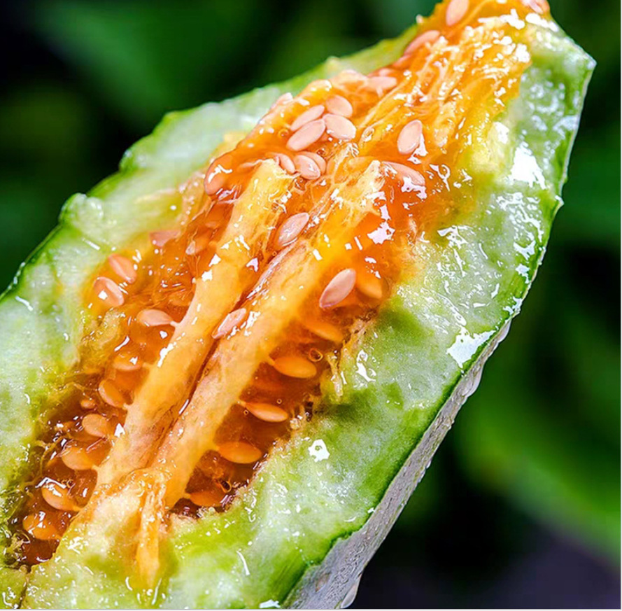 Hạt giống dưa gang xanh 20 hạt