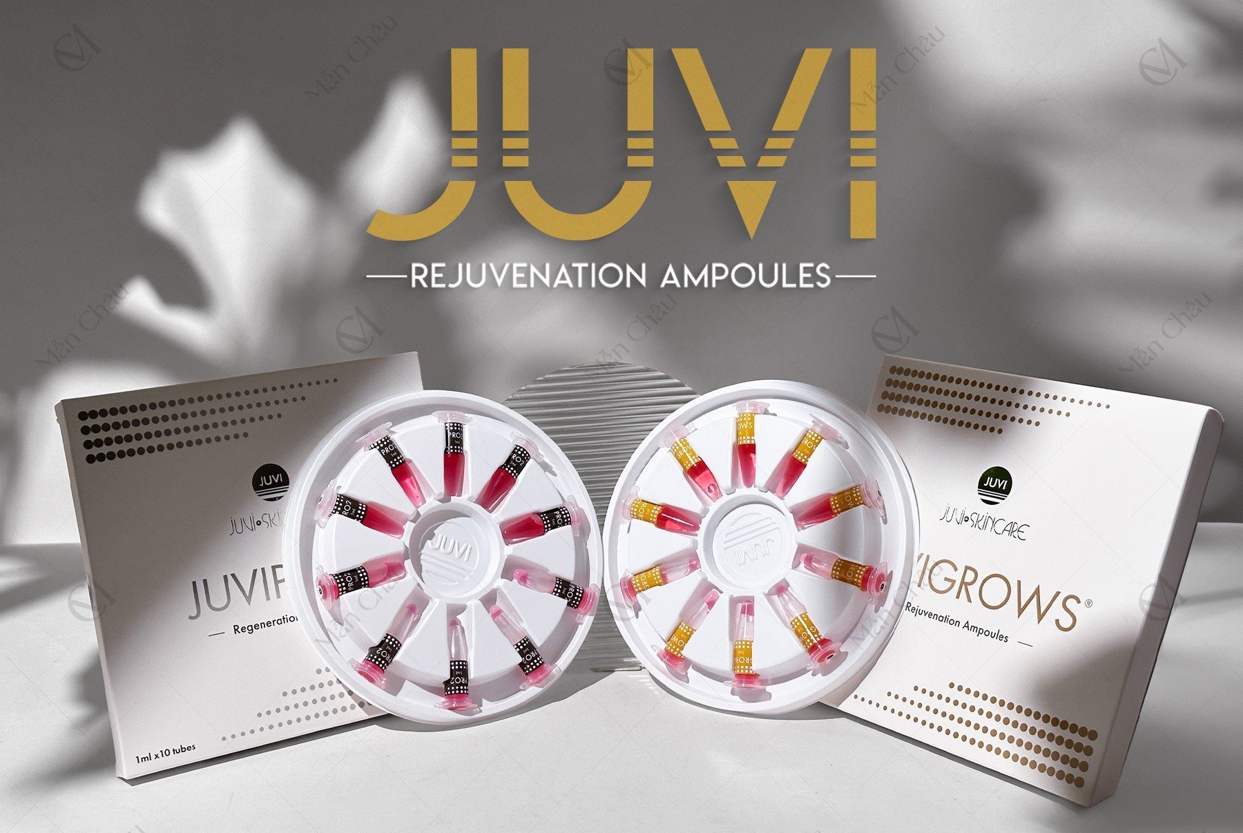 Tế bào gốc Juvi lẻ ống