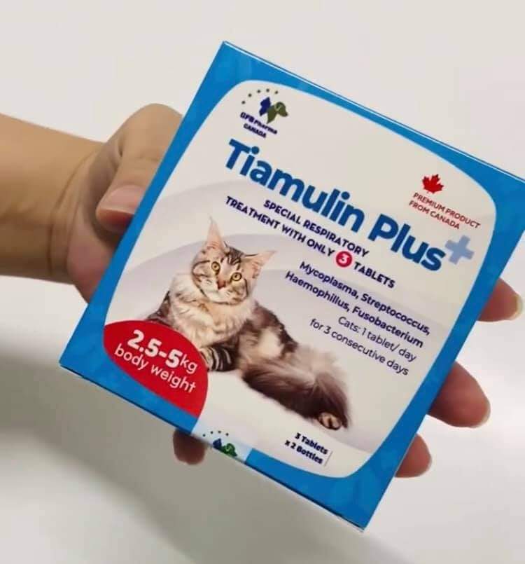 Tiamulin Plus cho mèo hỗ trợ hô hấp (đủ size 0.4-10kg)