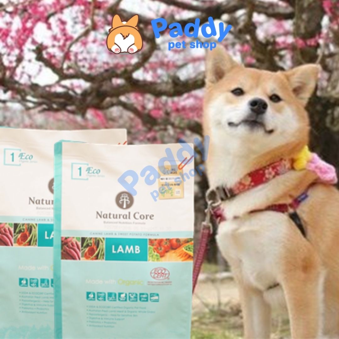 Hạt Cho Chó Mọi Lứa Tuổi Hữu Cơ Natural Core ECO Organic Cừu & Vịt